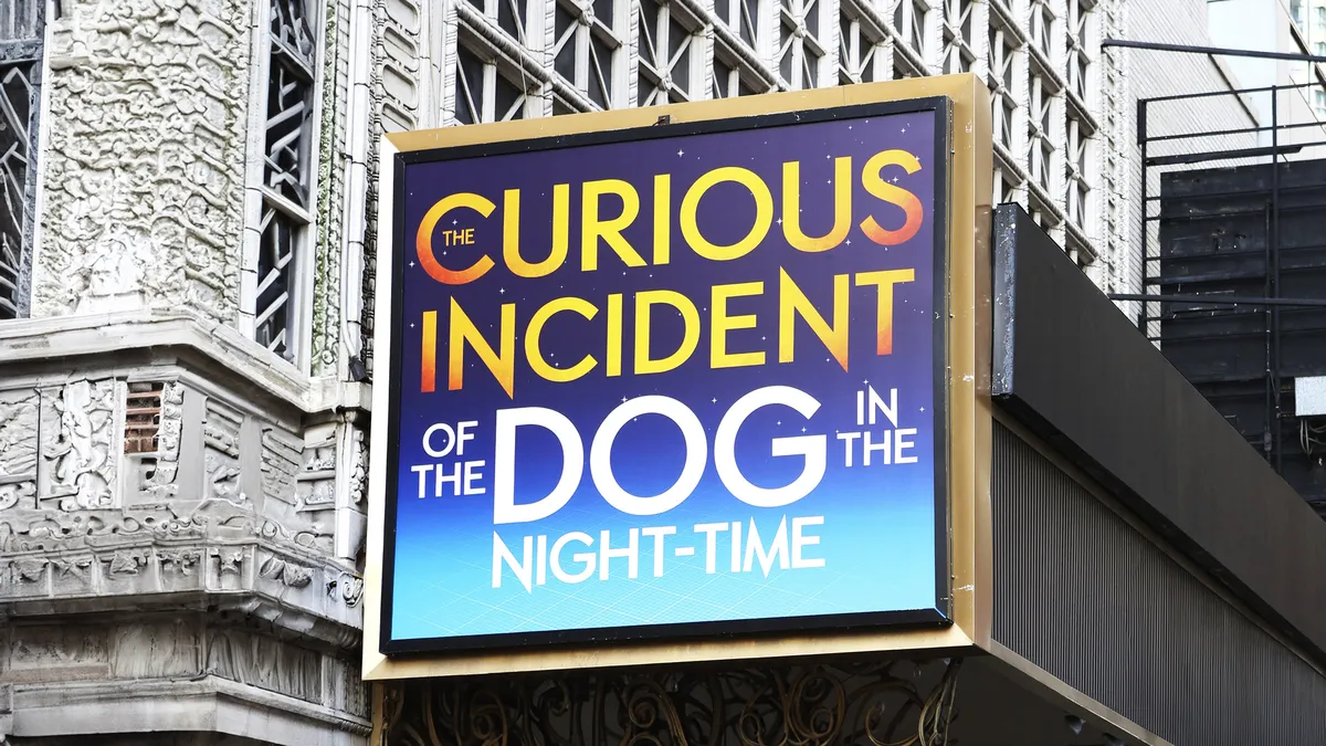 The Curious Incident of the Dog in the Night-Time